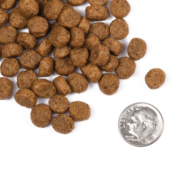 Fromm Dry Dog Food Classic Puppy Supply