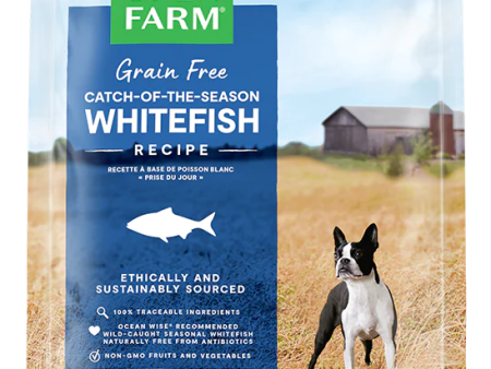 Open Farm Grain Free Catch Of The Season Whitefish Fashion