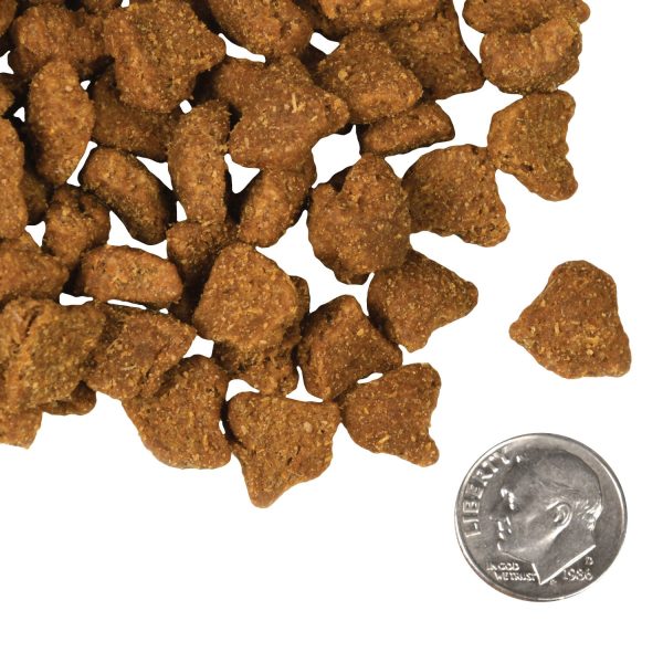 Fromm Dry Dog Food Zealambder Cheap