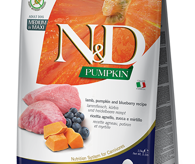 Farmina Dry Dog Food Lamb Pumpkin & Blueberry Medium & Maxi Online Hot Sale