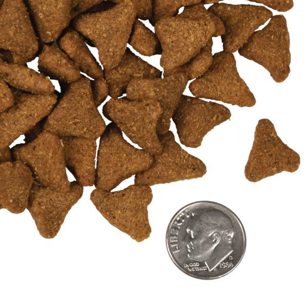 Fromm Dry Dog Food Whitefish &  Potato Online Hot Sale