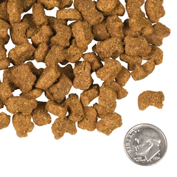 Fromm Dry Dog Food Lamb & Lentil Fashion