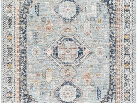 Surya Beckham BCM-2323 Ice Blue Traditional Machine Woven Rug Online Sale