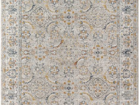 Surya Beckham BCM-2319 Light Slate Traditional Machine Woven Rug Sale