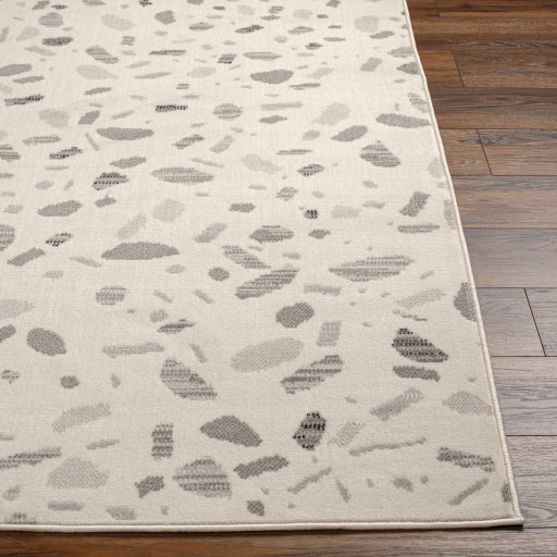 Surya Pisa PSS-2349 Light Gray Modern Machine Woven Rug Online