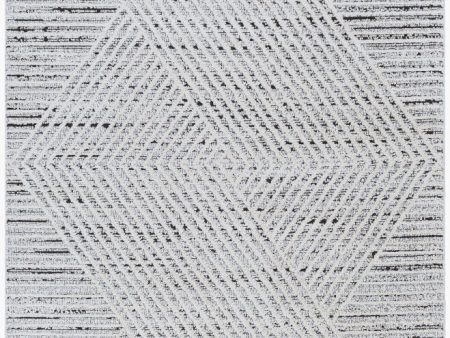 Surya Berlin BLR-2302 Sage Modern Machine Woven Rug Sale