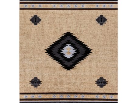 Surya Paramount PAR-1096 Black Rustic Machine Made Rug Fashion