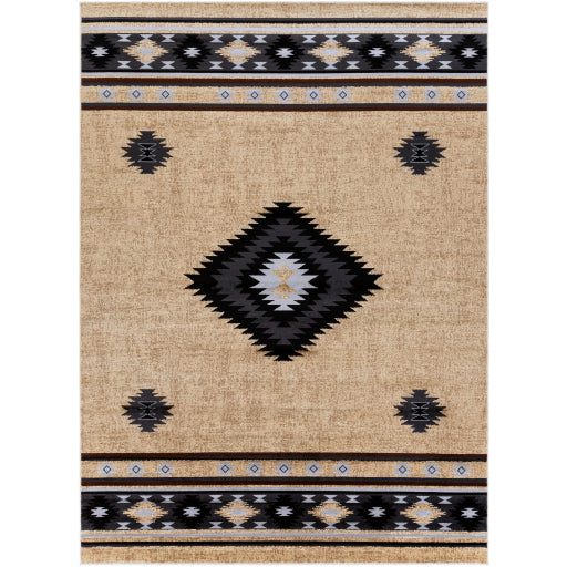 Surya Paramount PAR-1096 Black Rustic Machine Made Rug Fashion