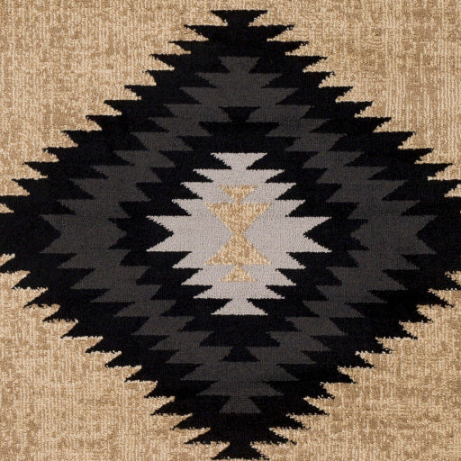 Surya Paramount PAR-1096 Black Rustic Machine Made Rug Fashion