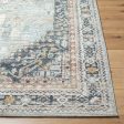 Surya Beckham BCM-2323 Ice Blue Traditional Machine Woven Rug Online Sale