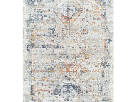 Surya Beckham BCM-2325 Light Slate Traditional Machine Woven Rug Online now