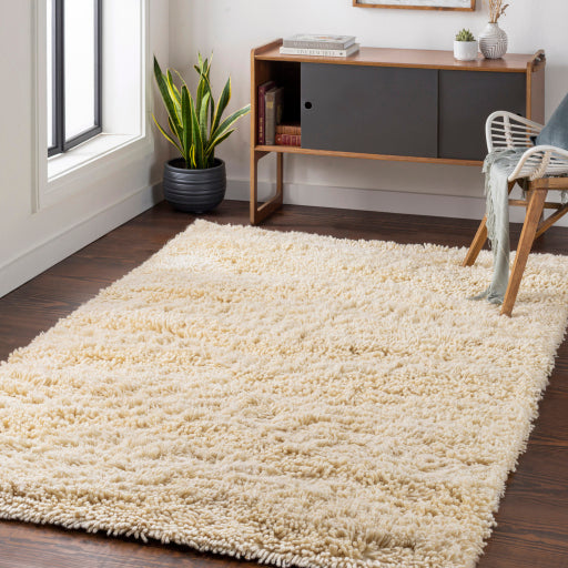 Surya Berkley BRK-3300 Cream Modern Hand Woven Rug Supply