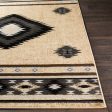 Surya Paramount PAR-1096 Black Rustic Machine Made Rug Fashion