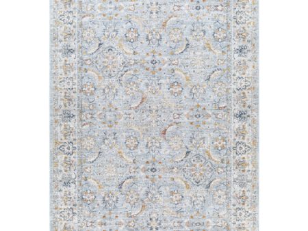 Surya Beckham BCM-2318 Ice Blue Traditional Machine Woven Rug Online