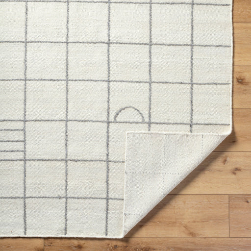 Surya Marcela MCL-2305 Cream Modern Hand Woven Rug Online now