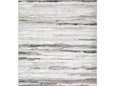 Surya Mood MDD-2333 Taupe Rustic Machine Woven Rug For Sale